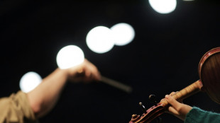 Un estudio sugiere que la m&uacute;sica ayuda al crecimiento de plantas