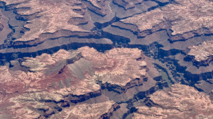 Evacuan a unos 500 turistas del Gran Cañón por incendio forestal
