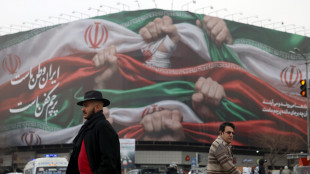 Israele, 'ucciso in Iran il giovane Erfan, simbolo della protesta'