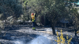 Sud de l'Espagne: l'incendie de Tarifa "stabilisé", retour des vacanciers évacués