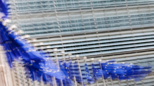 Ue, 'non servono nuovi scambi con Roma sul Safe, ora necessaria la firma'