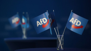 AfD scheitert mit Klage wegen Rechtsverletzung bei Gesetzes&auml;nderung zu Parteizusch&uuml;ssen