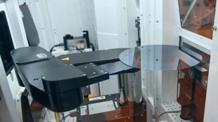 El fabricante de chips GlobalFoundries construir&aacute; dos plantas en EEUU por 21.000 millones de d&oacute;lares