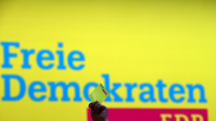 Nordrhein-westf&auml;lische FDP w&auml;hlt Fraktionschef H&ouml;ne zu neuem Landesvorsitzenden