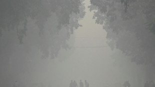Inde: pollution atmosph&eacute;rique 60 fois sup&eacute;rieure aux normes OMS &agrave; New Delhi