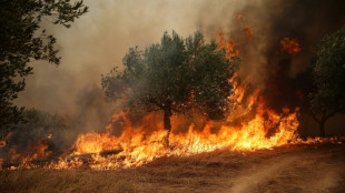 Gr&egrave;ce : trois personnes en d&eacute;tention provisoire apr&egrave;s l'incendie &agrave; l'ouest d'Ath&egrave;nes