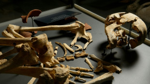 Un cambio social explicar&iacute;a la ca&iacute;da de la poblaci&oacute;n masculina durante el Neol&iacute;tico