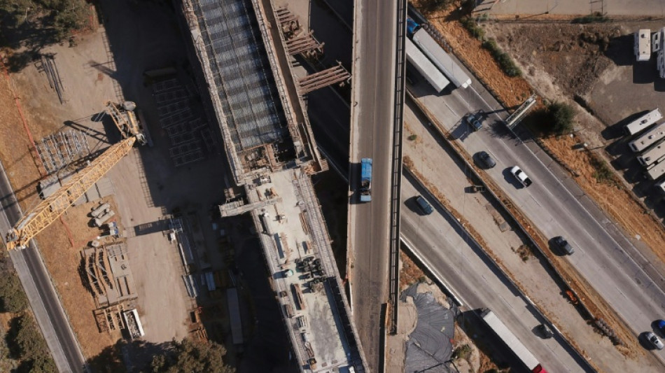 California to sue Trump govt over axed high-speed rail funds