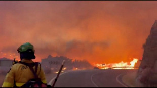 La caduta di un cavo elettrico all'origine dell'incendio in Andalusia