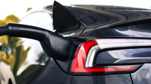 EU plant Verbrenner-Verbot f&uuml;r Firmenflotten und Mietautos