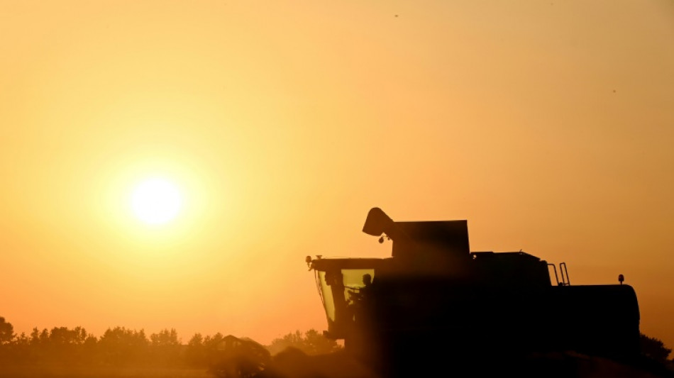 Agriculture: la loi Duplomb entrevoit le bout du tunnel parlementaire, sans éteindre la controverse