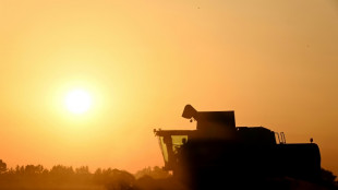Agriculture: la loi Duplomb entrevoit le bout du tunnel parlementaire, sans éteindre la controverse