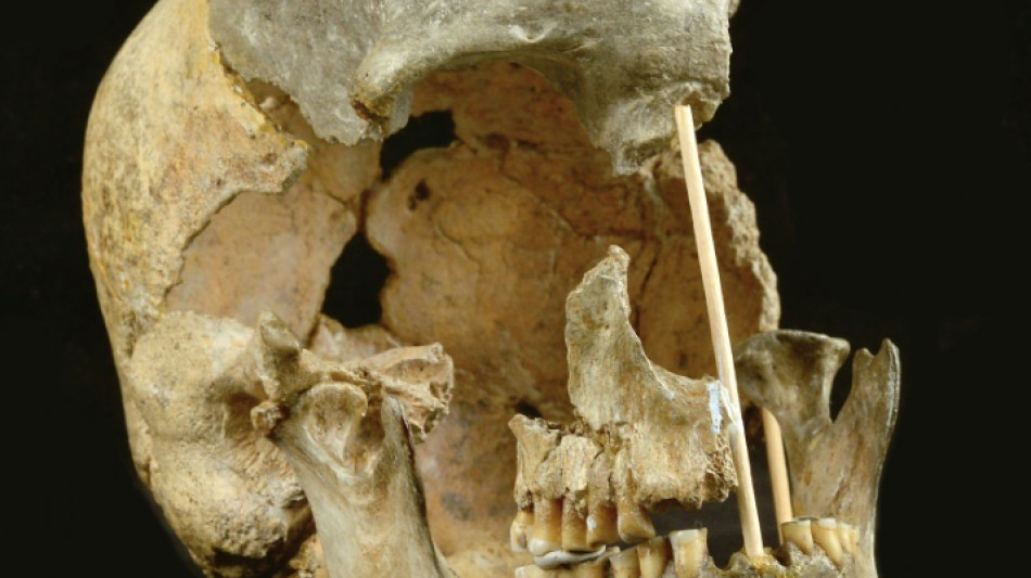 La g&eacute;n&eacute;tique retrouve la trace des premiers humains modernes d'Europe 