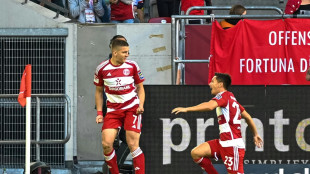 HSV und Schalke schw&auml;cheln - Baumgartl bestraft