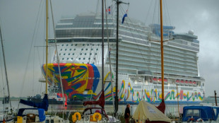Angeschlagene Meyer Werft in Papenburg erh&auml;lt "gr&ouml;&szlig;ten Auftrag in der Geschichte"