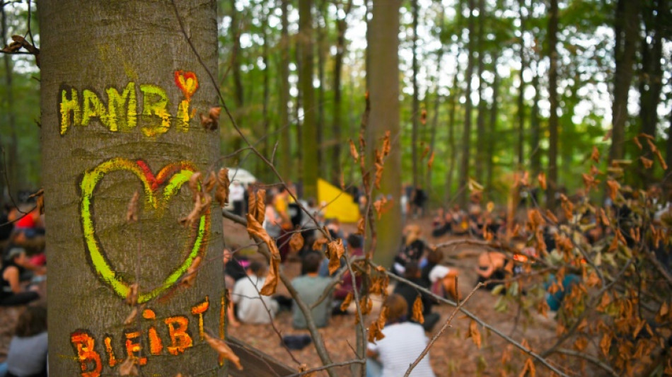 R&auml;umung von Baumhaus in Hambacher Forst laut Urteil rechtens