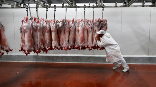 Les Fran&ccedil;ais ont un peu moins d'app&eacute;tit pour la viande