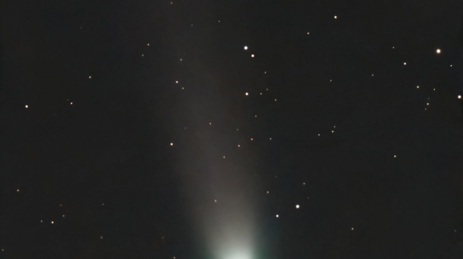 La cometa Lemmon ha salutato la Terra,ora il picco di luminosità