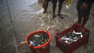 Maxi-sequestro di chili di pesce senza tracciabilit&agrave; in una pescheria di Formia