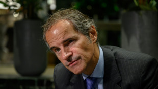 Jefe nuclear de ONU insta a Ir&aacute;n a permitir el trabajo de inspectores
