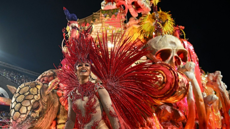 A Rio de Janeiro, l'all&eacute;gresse retrouv&eacute;e du carnaval