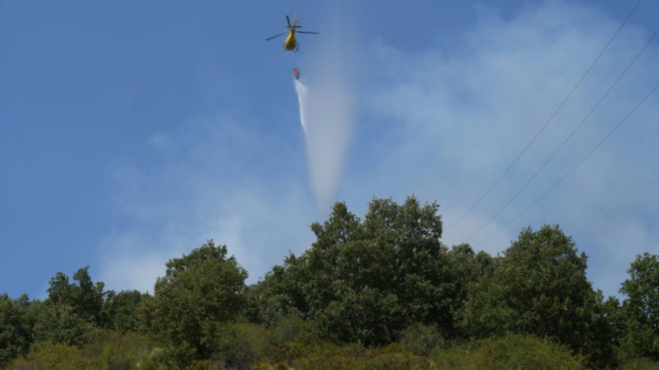 Los bomberos avanzan en la lucha contra los incendios en Espa&ntilde;a