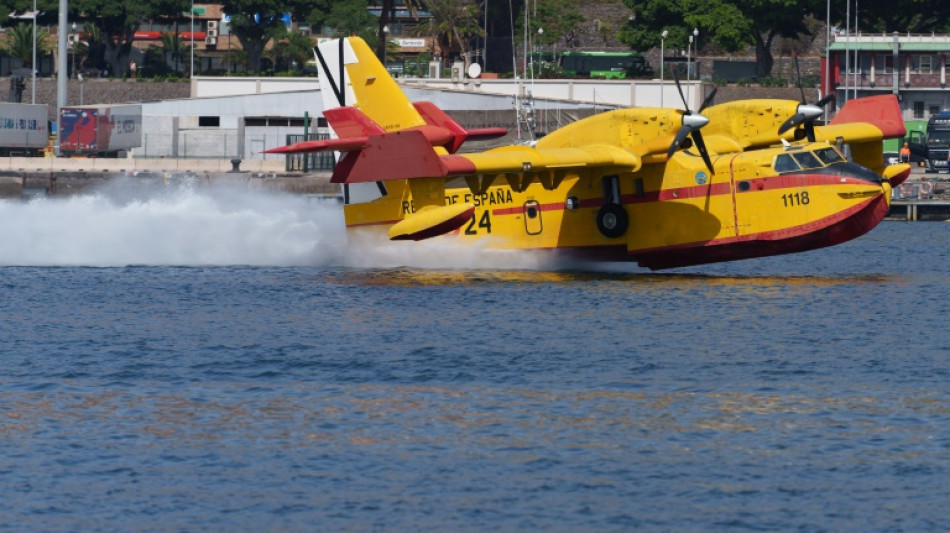 "Estabilizado" el incendio en la isla espa&ntilde;ola de Tenerife tras nueve d&iacute;as