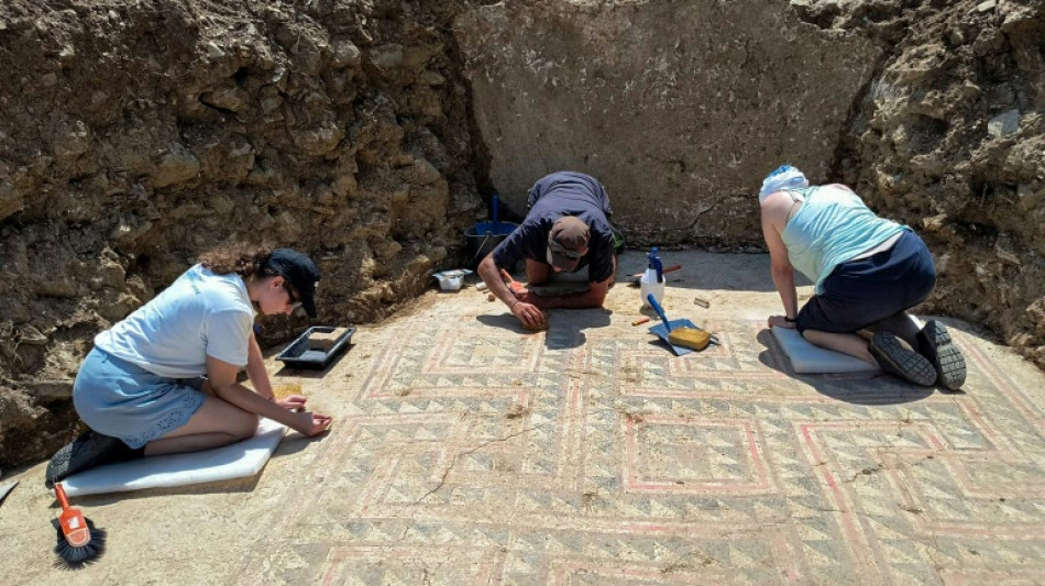 Une mosa&iuml;que antique refait surface sur les hauteurs d'Al&egrave;s