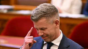 Magyar sworn in as Hungary's 'regime change' PM