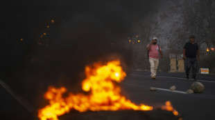P&eacute;rou: couvre-feu instaur&eacute; mardi &agrave; Lima apr&egrave;s des manifestations