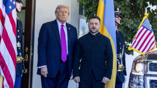 Trump, 'Zelensky dovrà farsi piacere il piano di pace'