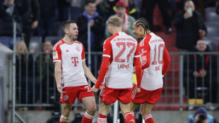 FC Bayern betreibt mit M&uuml;he Wiedergutmachung - Eklat um Bjelica