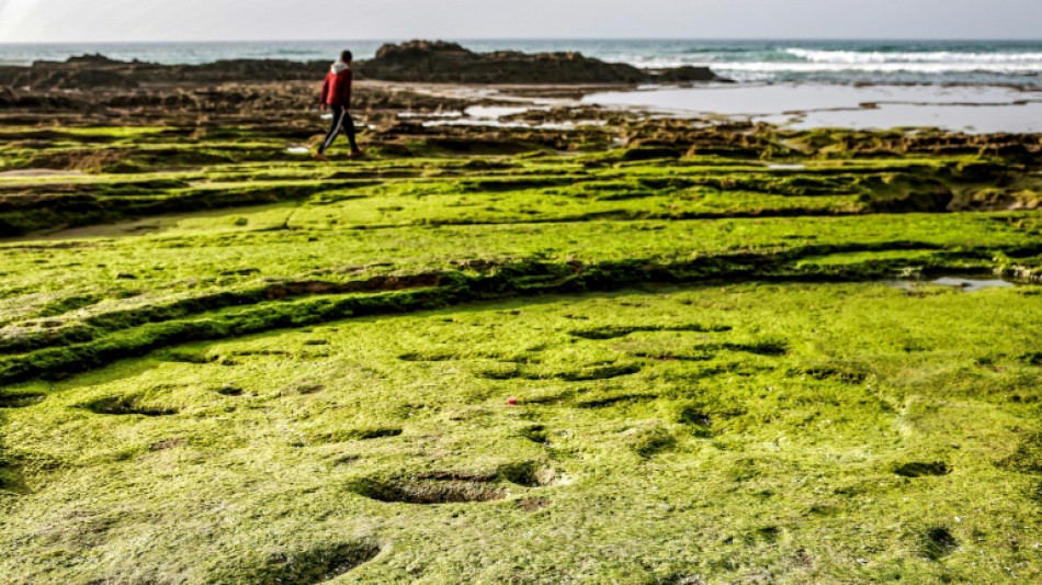 D&eacute;couverte au Maroc d'empreintes humaines datant de plus de 100.000 ans