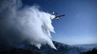 Grèce: violent incendie près d'Athènes, des dizaines d'évacuations