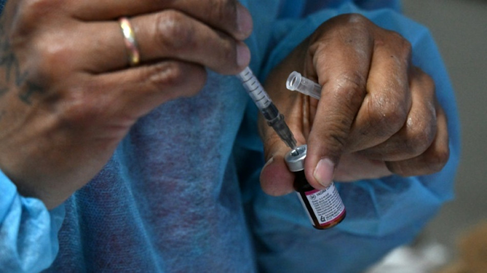 Vacinação de emergência reduz as mortes em 60%, demonstra estudo