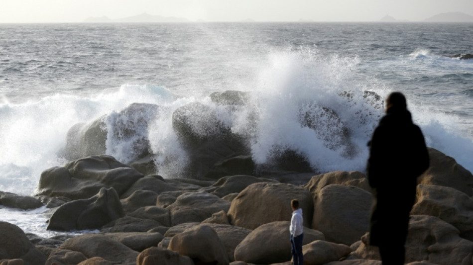 Vents violents dans le sud: des milliers de foyers priv&eacute;s d'&eacute;lectricit&eacute; et des d&eacute;parts de feu