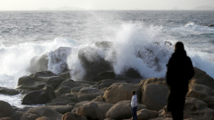 Vents violents dans le sud: des milliers de foyers priv&eacute;s d'&eacute;lectricit&eacute; et des d&eacute;parts de feu