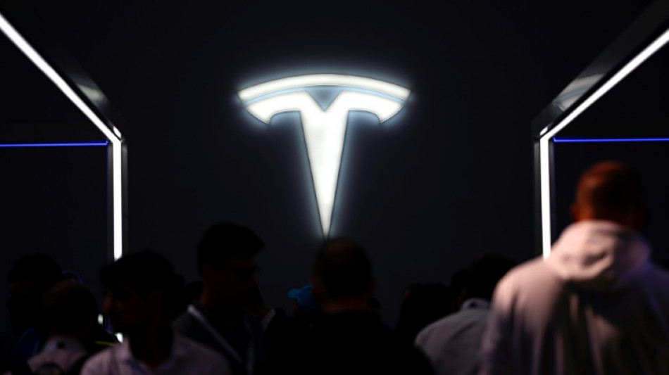 Gr&uuml;nheide: Tesla sorgt sich nach Anschlag auf Stromversorgung um Besch&auml;ftigte