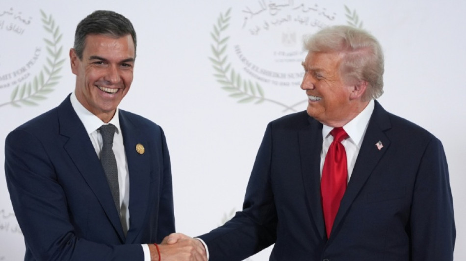 Trump dice que Espa&ntilde;a "deber&iacute;a ser castigada" por su gasto en defensa