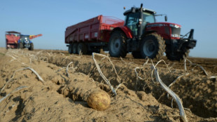 Gericht: Bauer muss anderen Landwirt f&uuml;r abgedriftetes Spritzmittel entsch&auml;digen