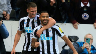 Howe plays down Newcastle's 'outrageous' top four push