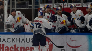 DEL-Finale: M&uuml;nchen fehlt noch ein Sieg zum Titel