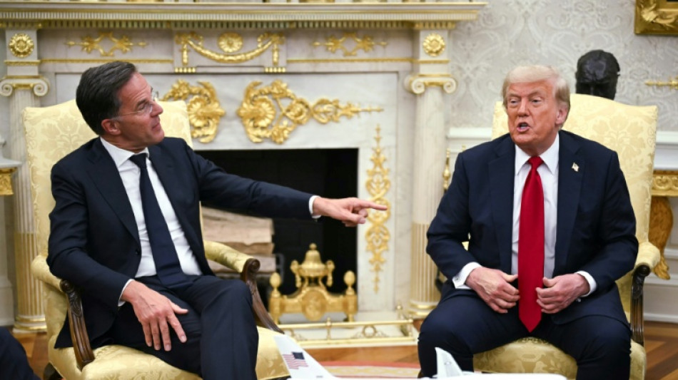Rutte: "Faktische" Anerkennung russischer Kontrolle &uuml;ber ukrainische Gebiete m&ouml;glich