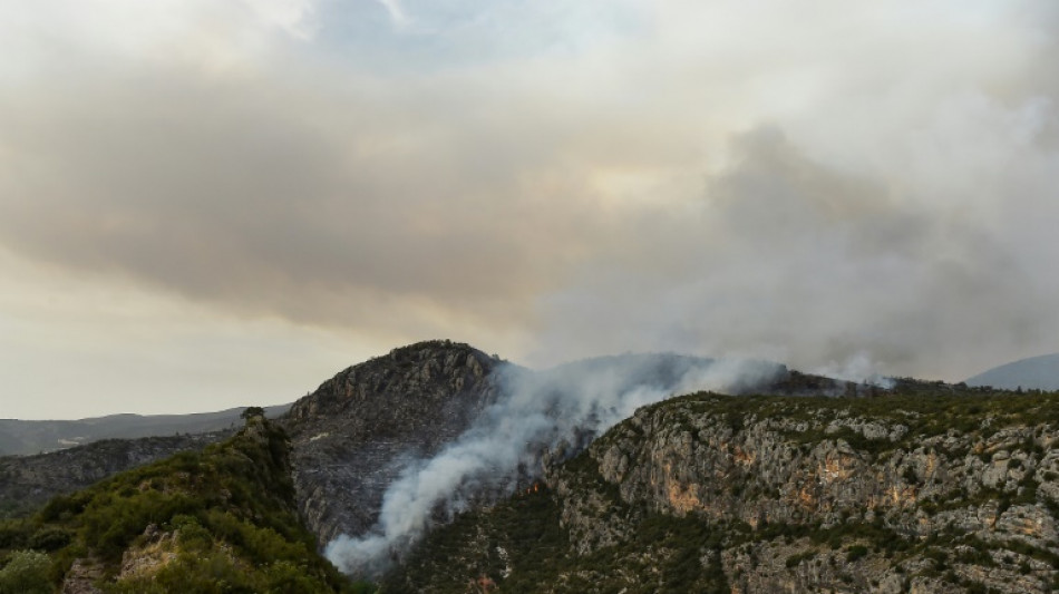 Miles de hect&aacute;reas arrasadas por incendios forestales en Espa&ntilde;a