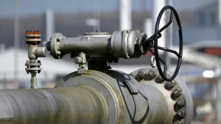 Sozial- und Wirtschaftsverb&auml;nde gegen Energie-Embargo gegen Russland