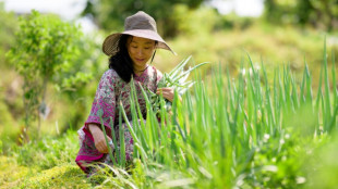 C&eacute;libataire et fi&egrave;re de l'&ecirc;tre: une influenceuse &agrave; contre-courant en Cor&eacute;e du Sud