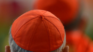 Les violences sexuelles dans l'Eglise, d&eacute;fi majeur du prochain pape