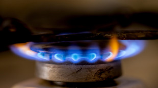 Il prezzo del gas apre in calo a 31,20 euro al megawattora