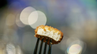 Fran&ccedil;a pro&iacute;be chamar produtos de origem vegetal de 'presunto' ou 'fil&eacute;'