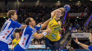 HBL: L&ouml;wen verlieren weiter - im Keller bleibt es eng